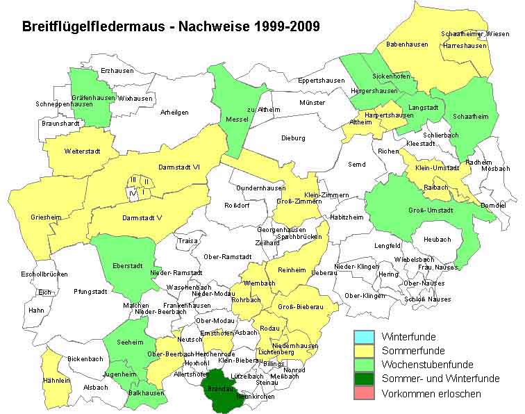 Breitfl�gelfledermaus Karte mit Nachweisen