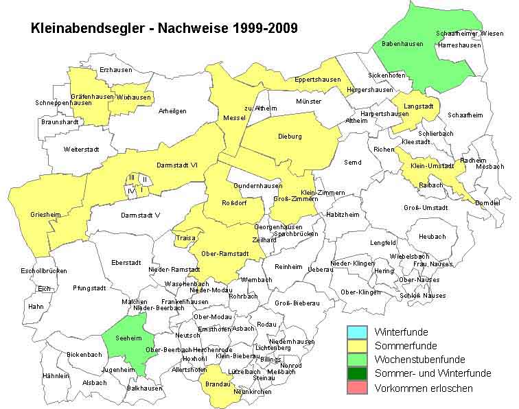 Kleinabendsegler Karte mit Nachweisen