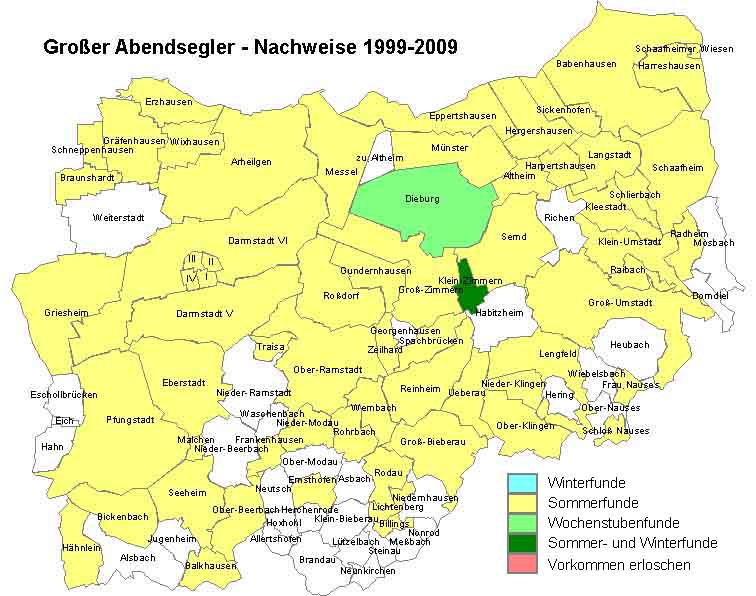 Großer Abendsegler Karte mit Nachweisen