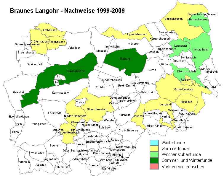 Braunes Langohr Karte mit Nachweisen