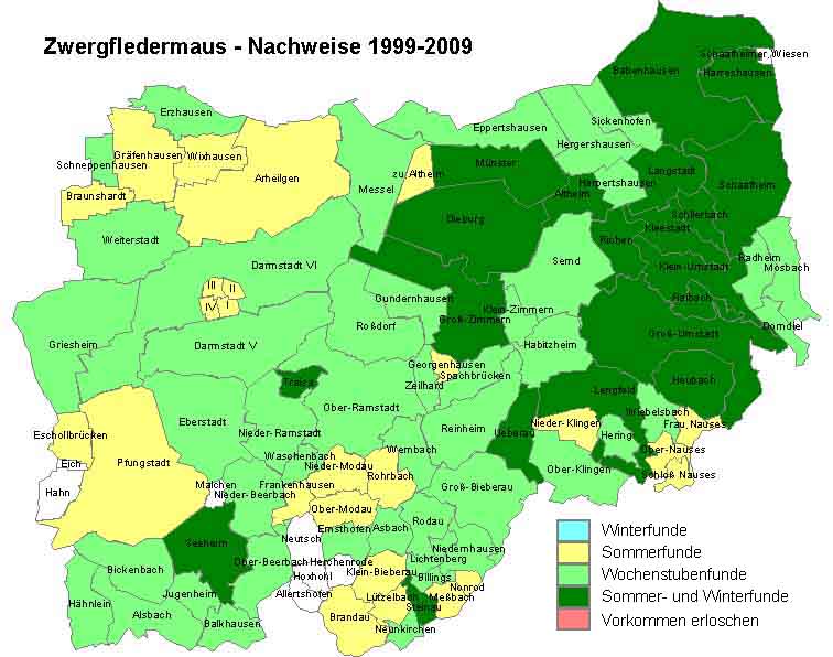 Zwergfledermaus Karte mit Nachweisen