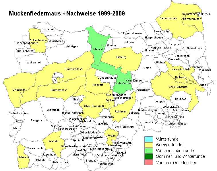 Mückenfledermaus Karte mit Nachweisen